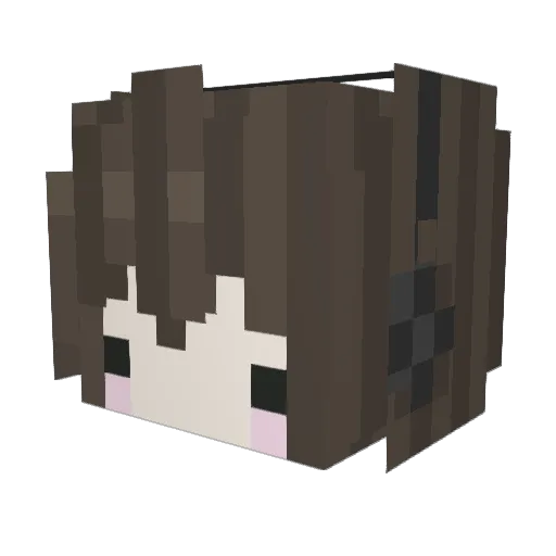istdasdermars Minecraft avatar head, 3D render