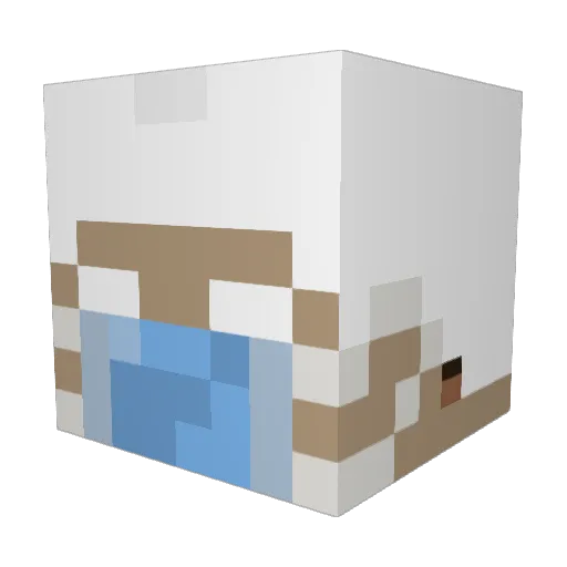 it_7yler Minecraft avatar head, 3D render
