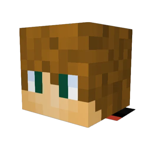 itay210 Minecraft avatar head, 3D render