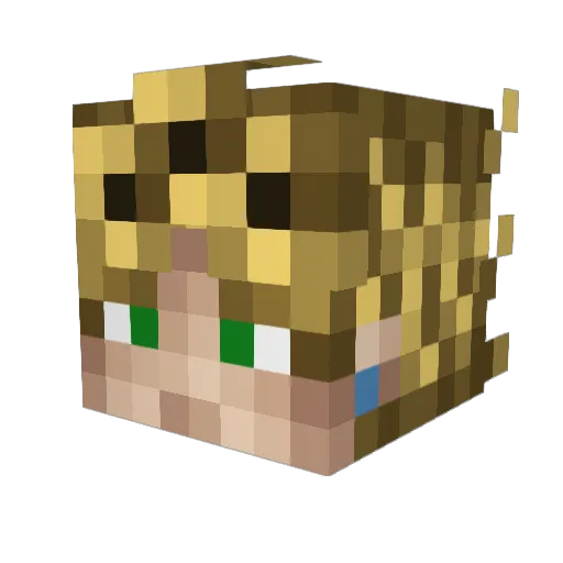 itookadumpandpee Minecraft avatar head, 3D render