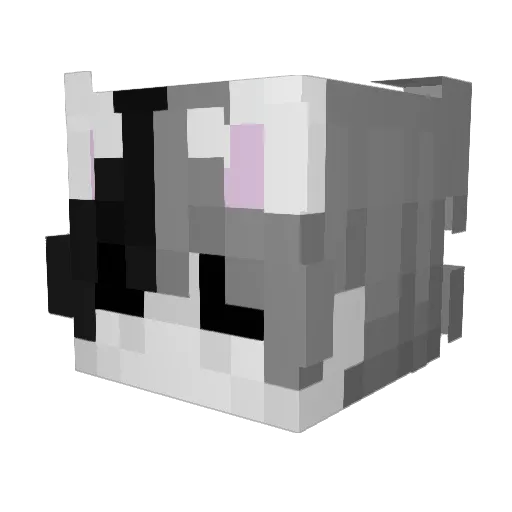 its7sn Minecraft avatar head, 3D render