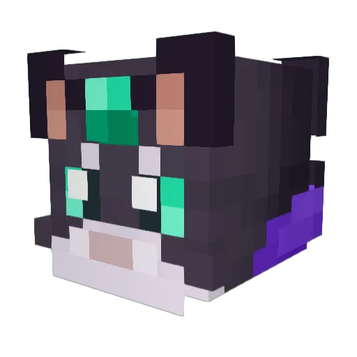 itsAstraLys Minecraft avatar head, 3D render