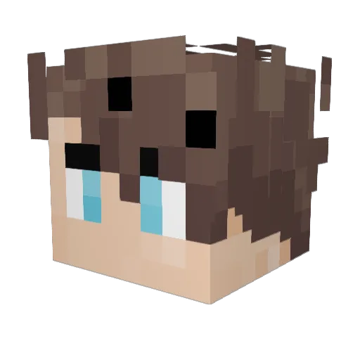 itsChilli_ Minecraft avatar head, 3D render
