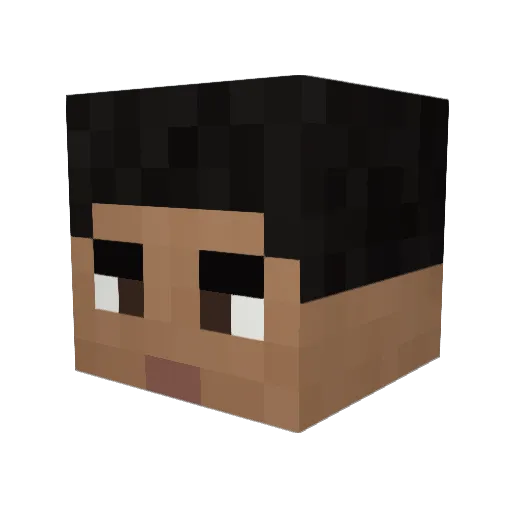 itsCousinJay Minecraft avatar head, 3D render