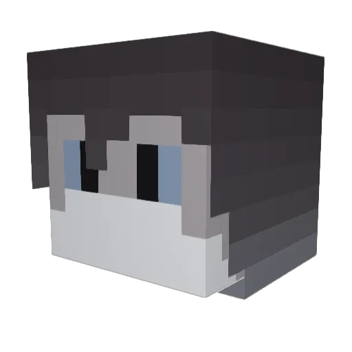 Minecraft-Avatar von itsGr4yscale: Kopf als 3D-Render