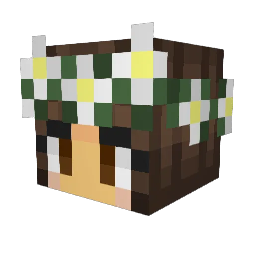 itsLarsye Minecraft avatar head, 3D render