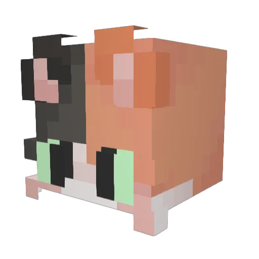 itsMeowgical Minecraft avatar head, 3D render
