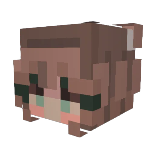 itsSaff148 Minecraft avatar head, 3D render