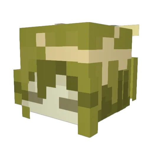 itsTrhodes Minecraft avatar head, 3D render