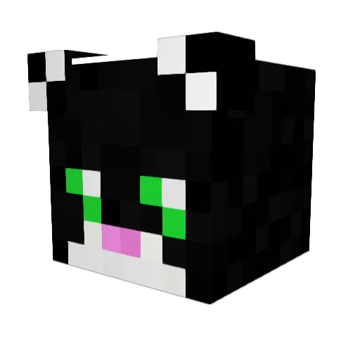 itsViruz077 Minecraft avatar head, 3D render
