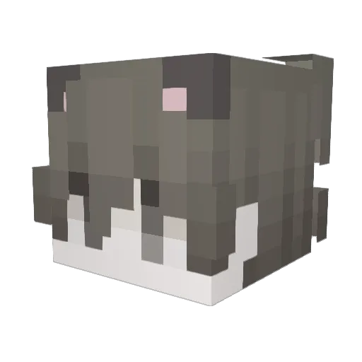 itsWillow12 Minecraft avatar head, 3D render
