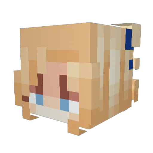 its_Avery20 Minecraft avatar head, 3D render