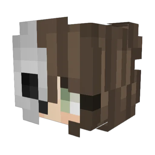 its_Avocat Minecraft avatar head, 3D render