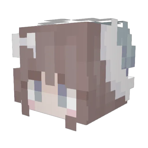 its_Rayan Minecraft avatar head, 3D render