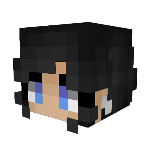 its__skyyy Minecraft avatar head, 3D render