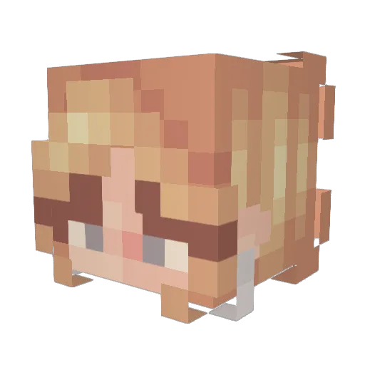 its_caix Minecraft avatar head, 3D render