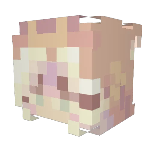 its_cocoa Minecraft avatar head, 3D render