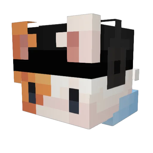 its_crazy1 Minecraft avatar head, 3D render