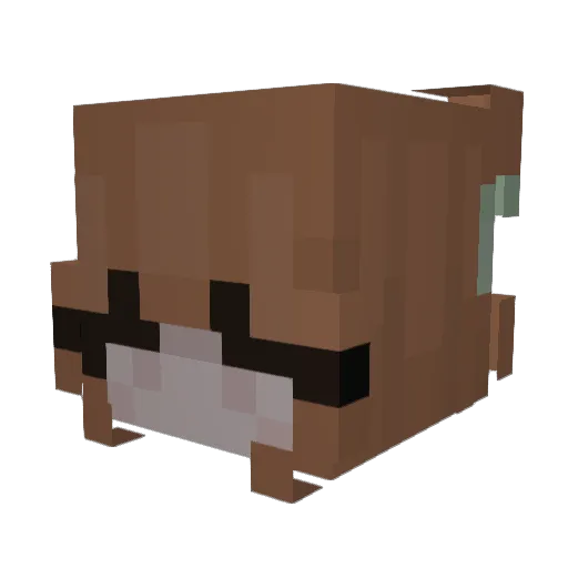 its_echooo Minecraft avatar head, 3D render