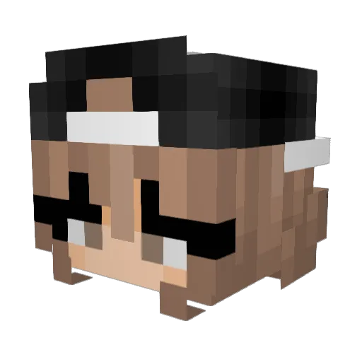 its_nanon Minecraft avatar head, 3D render