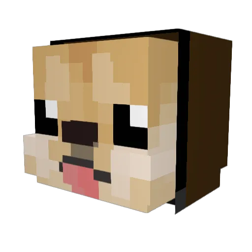 its_ramenbtw Minecraft avatar head, 3D render