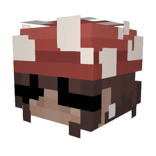 its_socks_ Minecraft avatar head, 3D render