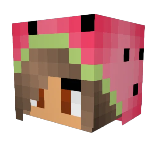 its_watermeloon Minecraft avatar head, 3D render