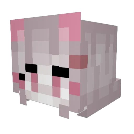 itsaleshaaa Minecraft avatar head, 3D render