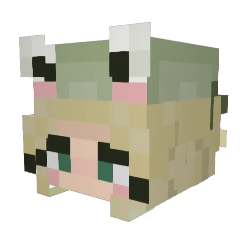 itsalwayskay Minecraft avatar head, 3D render