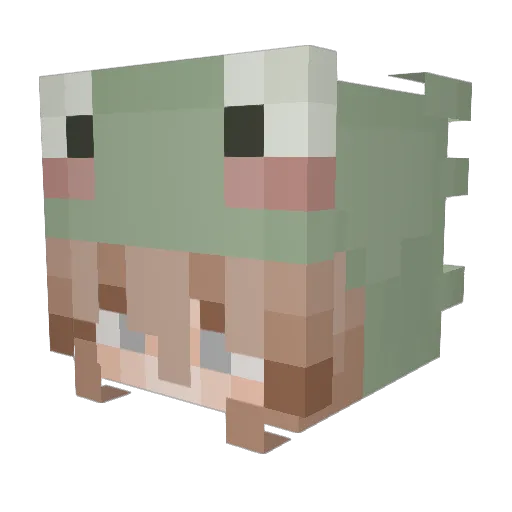 itsash221 Minecraft avatar head, 3D render