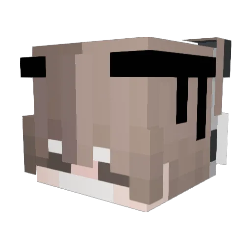 itsaxelitoOMG Minecraft avatar head, 3D render