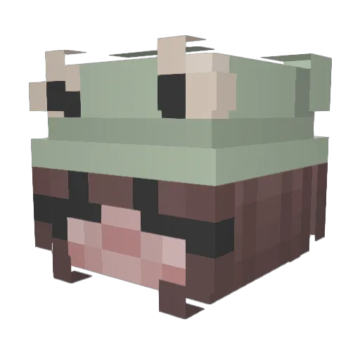 itscelesteomg Minecraft avatar head, 3D render