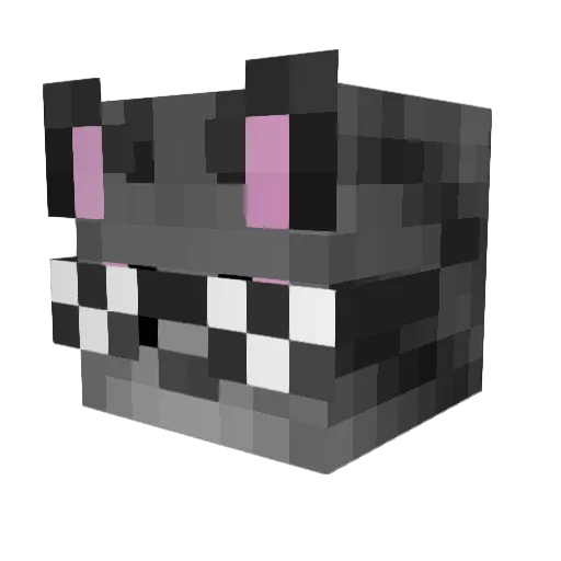 itsdarthyy Minecraft avatar head, 3D render