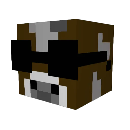 itsfnplayer Minecraft avatar head, 3D render