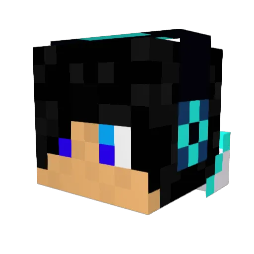 itsjake407 Minecraft avatar head, 3D render