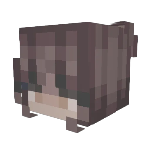 itsjules_1 Minecraft avatar head, 3D render