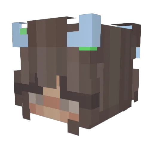 itsjustAdriana2 Minecraft avatar head, 3D render