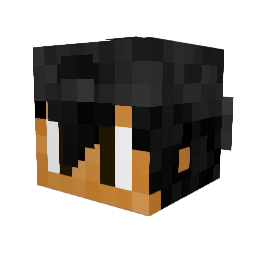 itsjustjenko Minecraft avatar head, 3D render