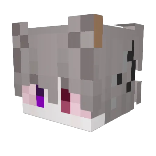 Minecraft-Avatar von itskasx: Kopf als 3D-Render