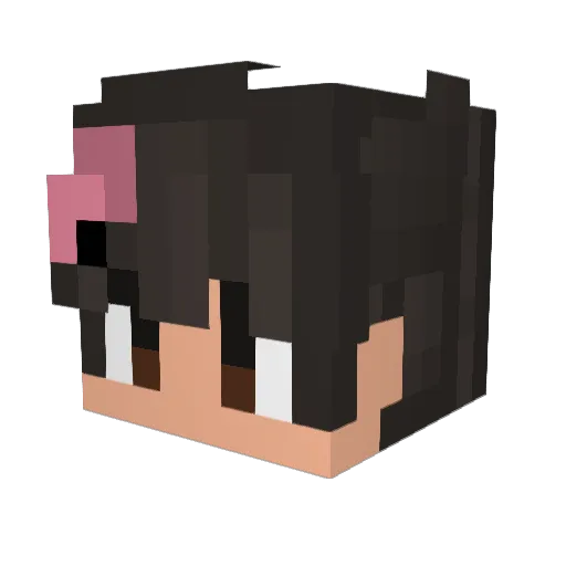 itskiwito Minecraft avatar head, 3D render