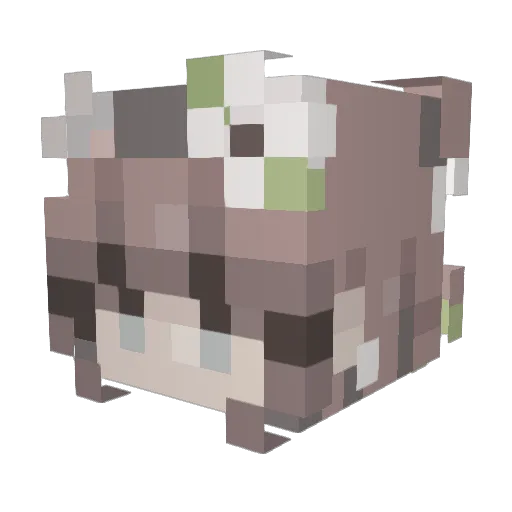 itsleahtbh Minecraft avatar head, 3D render