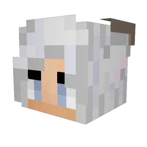 itsme_Sam29 Minecraft avatar head, 3D render