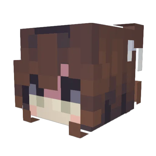 itsmecorgi Minecraft avatar head, 3D render