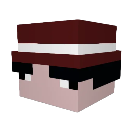 itsmewardo Minecraft avatar head, 3D render