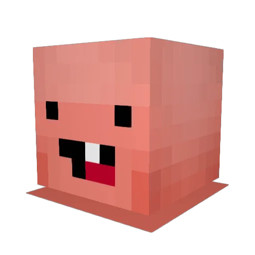 itsnotbrandon10 Minecraft avatar head, 3D render