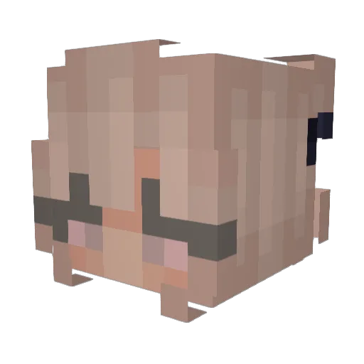 itsnotday05 Minecraft avatar head, 3D render