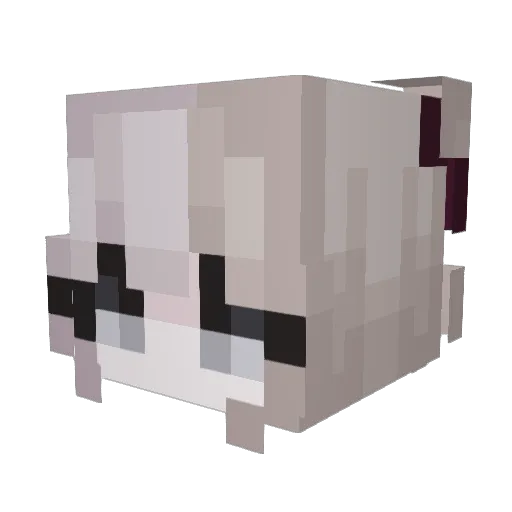 itsnotgeig Minecraft avatar head, 3D render