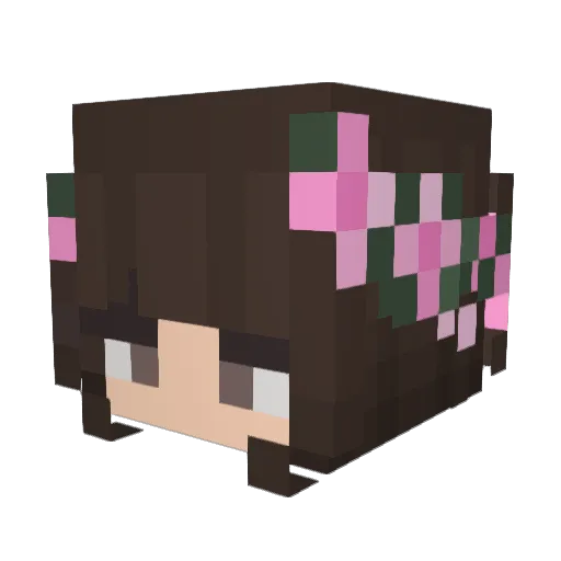 itsnotmae_ Minecraft avatar head, 3D render