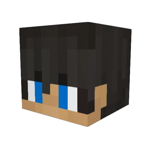 itsnoughtbrah Minecraft avatar head, 3D render