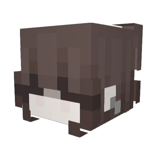 itssPepsi Minecraft avatar head, 3D render